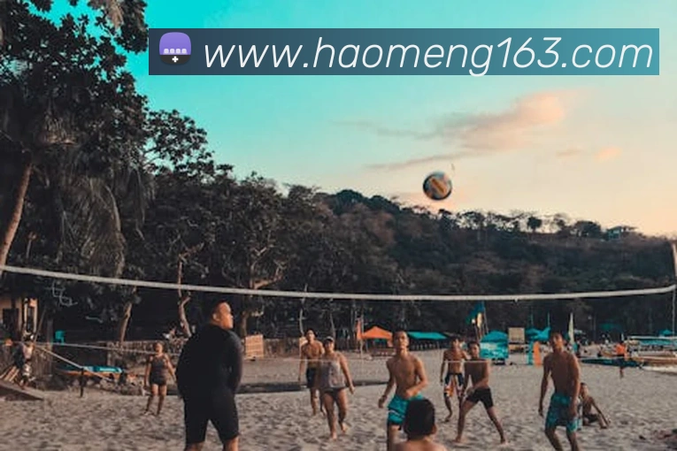 豪门国际平台生态图