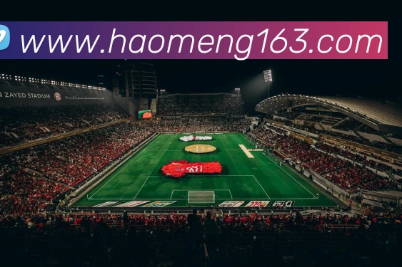 豪门国际APP 封面图